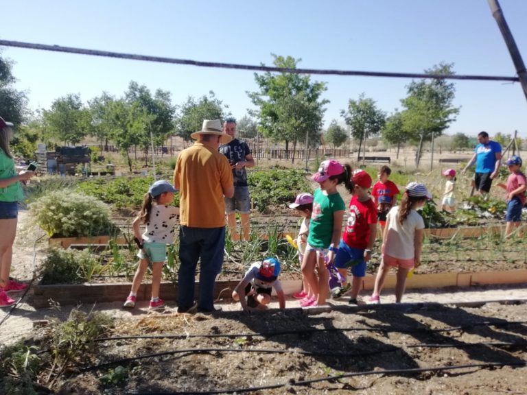 Colaboración con colegios en la Huerta Eugenia