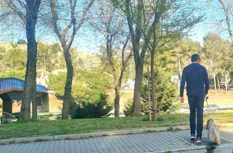 Aprobada la iniciativa del PSOE para instalar un área canina en Santa Eugenia