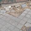 Vecinos de Santa Eugenia reclaman la reparación urgente de las aceras levantadas